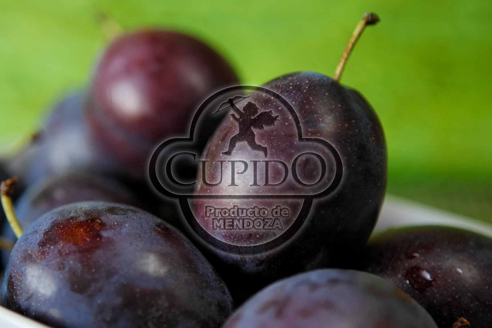 ciruelas dagen