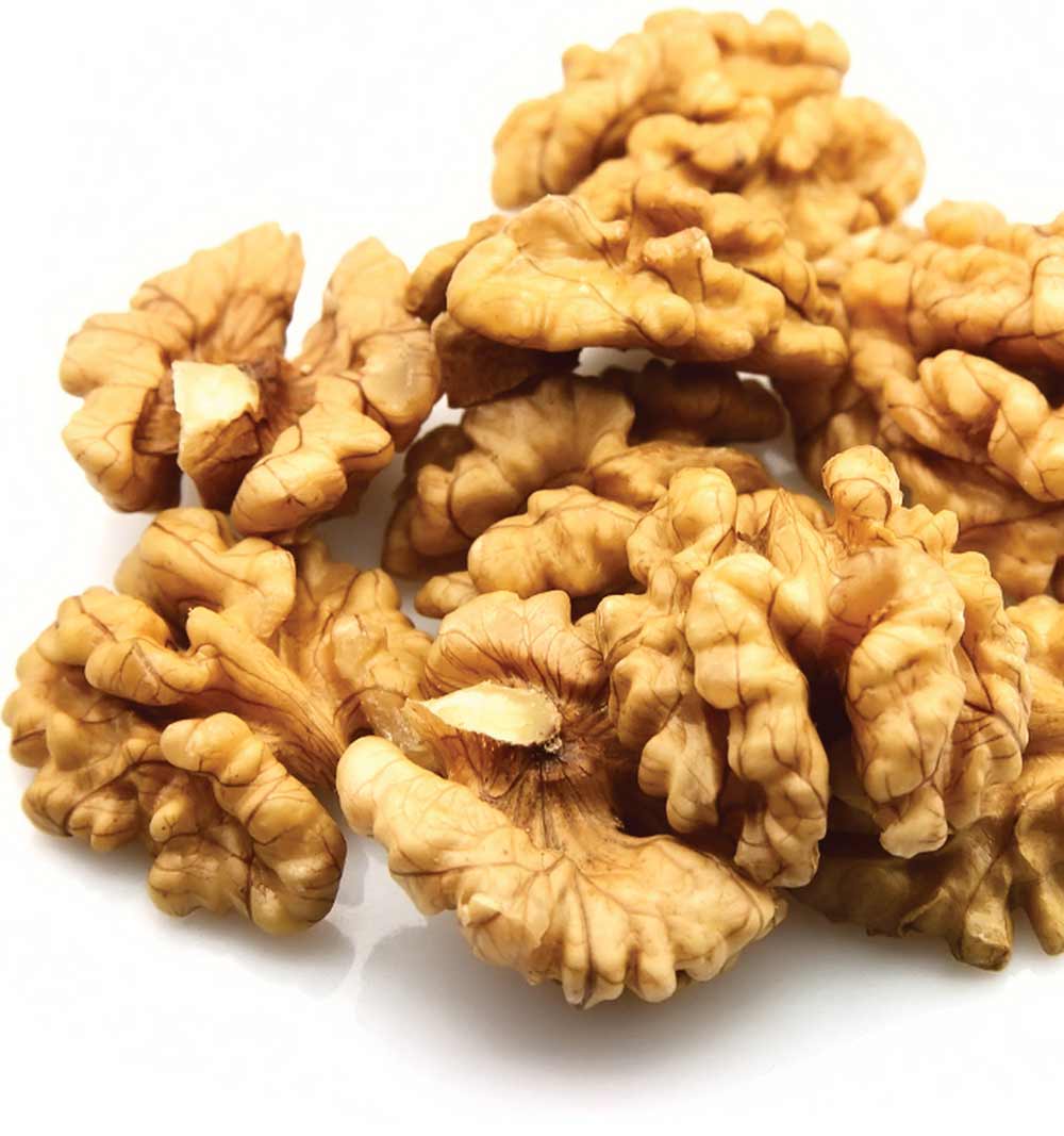 NUECES