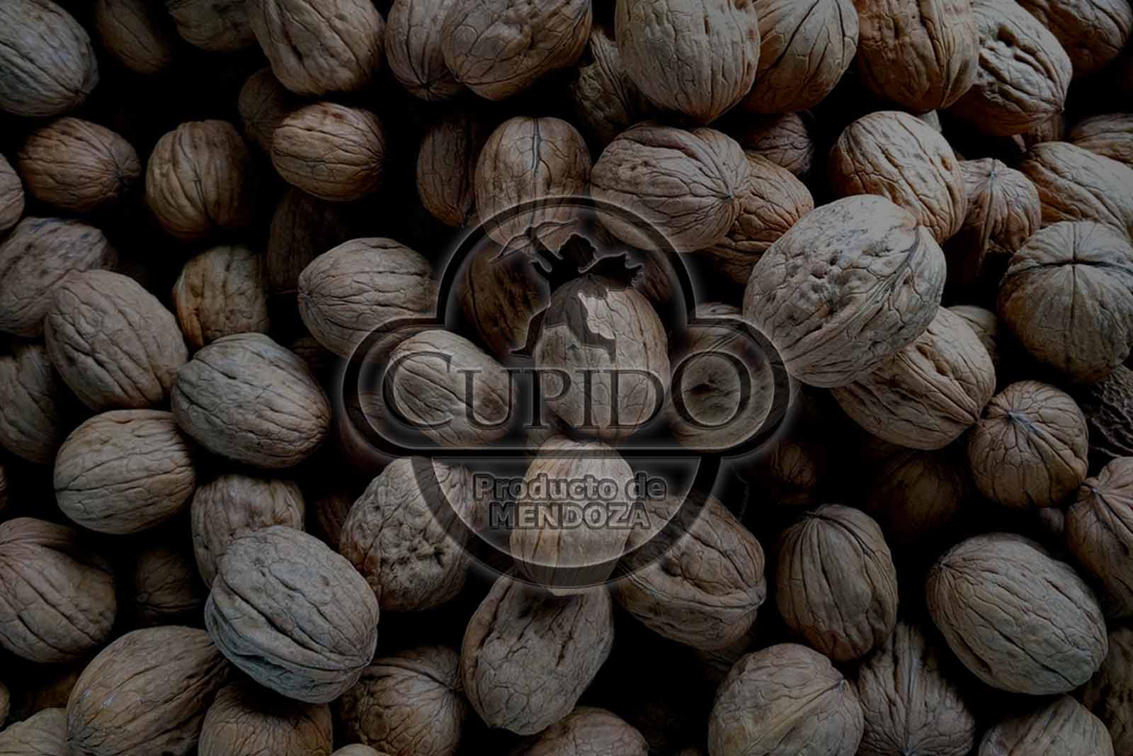 nueces de nogal