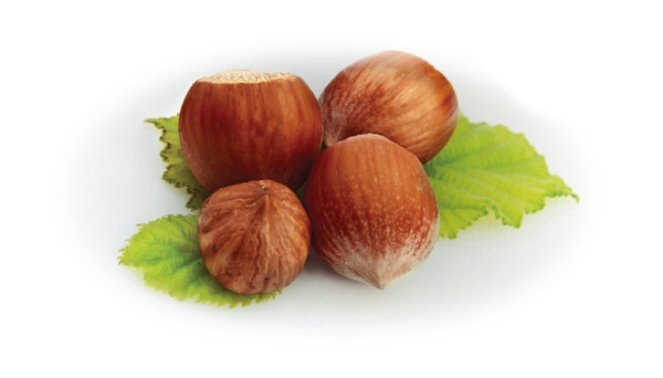 avellanas
